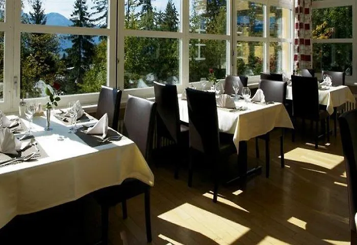 Auberge de jeunesse Youth